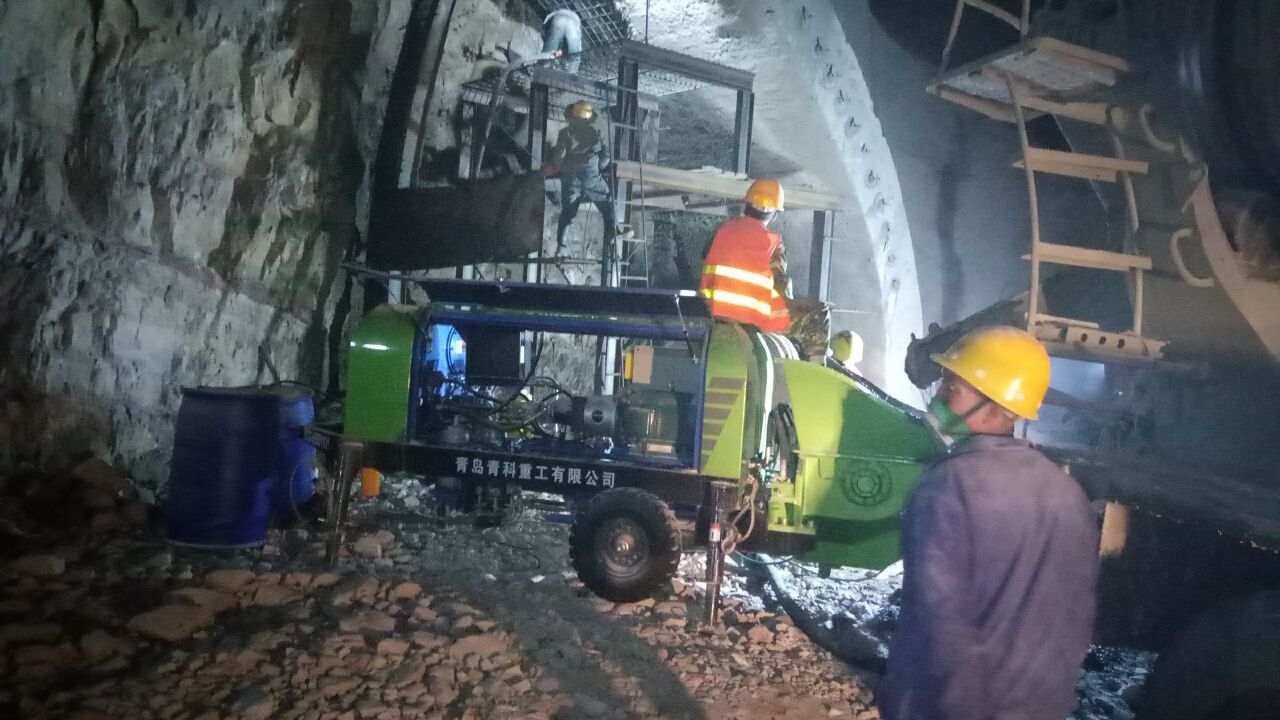 ����ع�ʪ���