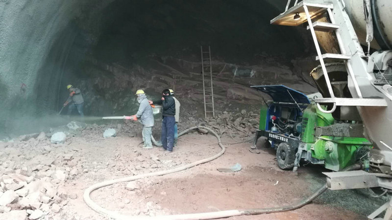 ����ع�ʪ���